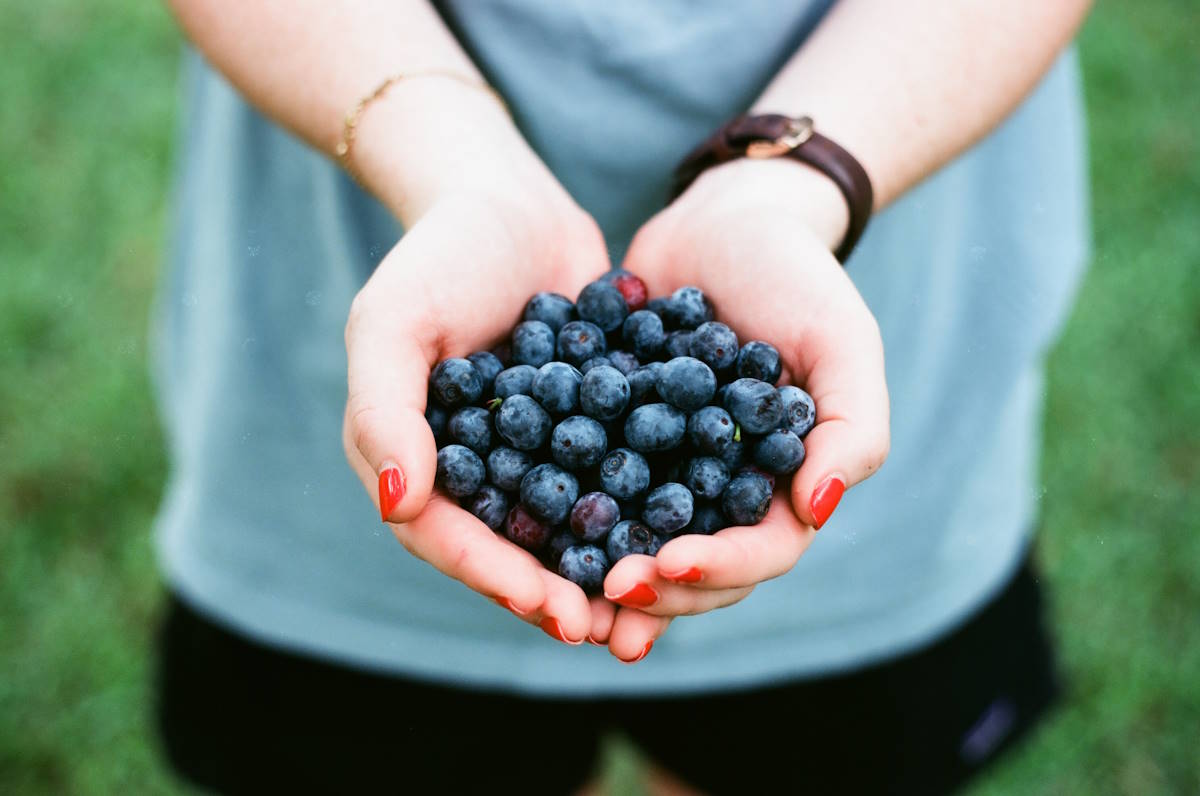 Blueberries in hand